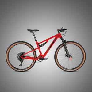 China 29er Carbon Fiber Full Suspension Mountain Bike on sale