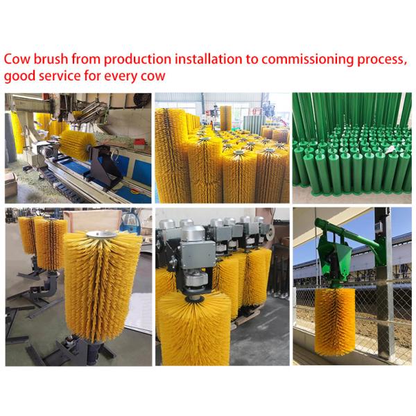 Industrial Cow Scratching Brush Back Scratcher Waterproof Automatic