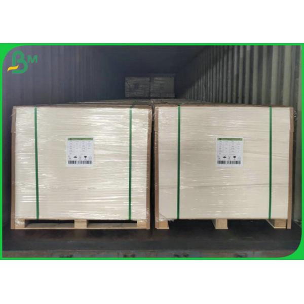 Waterproof 190g 210g Cardboard Cup Paper Foodgrade For Paper Cup Raw Material 