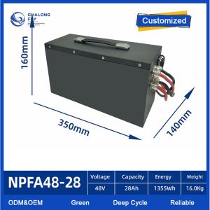 OEM ODM EV Lithium Battery Pack For AGV 24V 48V 60V 72V 80V Lifepo4 With Smart