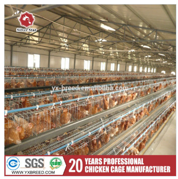 Buy Layer Poultry Equipment A Frame Layer Cages SGS Approved at wholesale prices