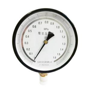 High Precision Customizable Stainless Steel Digital Pressure Gauge for Liquid