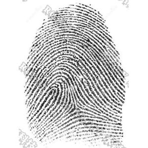 Gold PVD Vacuum Metal Deposition on Forensic Application / Au Thermal Evaporatio