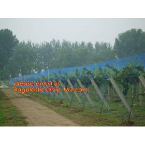 Hot Selling Greenhouse Anti Insect Netting with Competitive Price,virgin hdpe