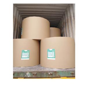 Coated Art Board Paper in 700*1000mm Size Made from Recycled Wood Pulp for