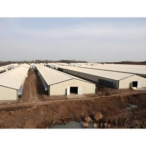 Economical Light Steel House Construction Customized Steel Structure Shed