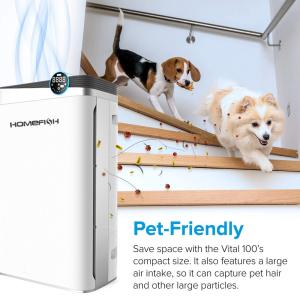 Homefish Oem Luftreiniger H13 Hepa Filter Photocatalytic Air Freshener Household