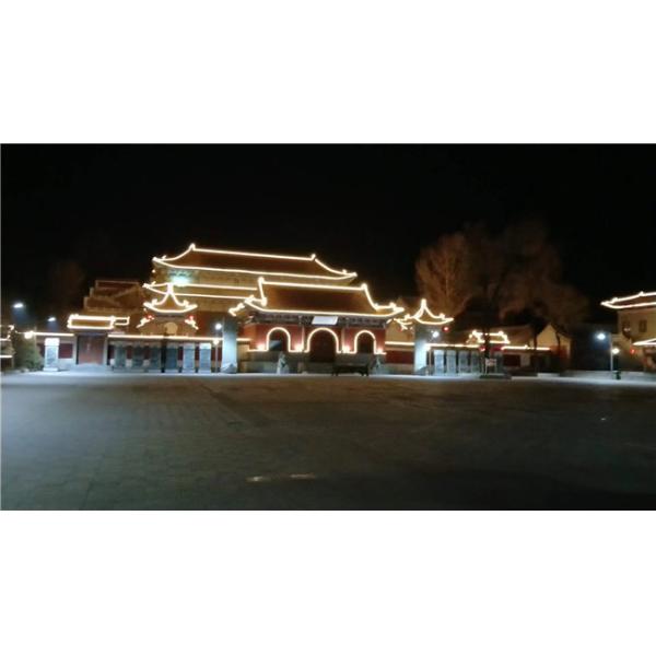 8 X 16mm 12V 24V Flexible LED Strip Light / CE RoHS LED Neon Flex Rope Light