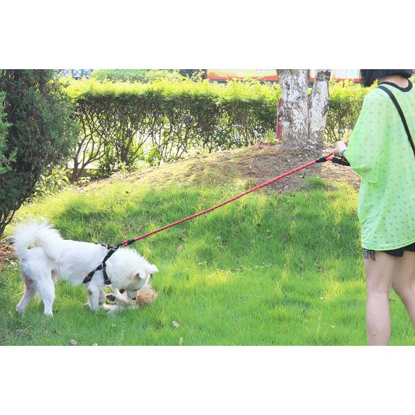 Heavy Duty Dog Harness Leash 1/2 Inch Diameter