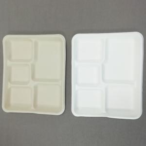 100% Biodegradable Sugarcane Pulp 5 Compartment Tray Natural Bagasse Eco