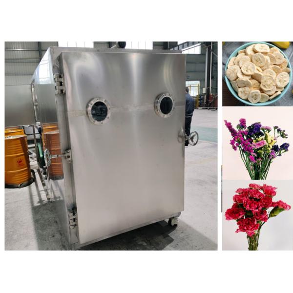 Buy Efficient Food Vacuum Freeze Dryer Machine With Leybold System at wholesale prices