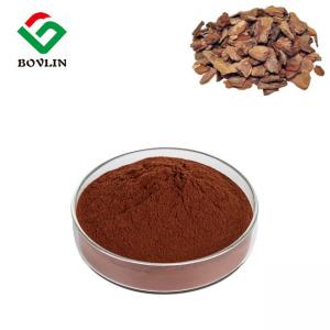 China CAS 133248-87-0 Food Grade Pine Bark Extract Powder 95% Procyanidins on sale