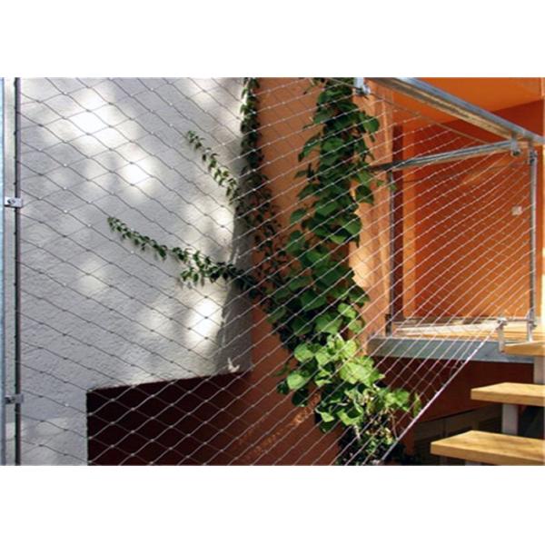 Trellis Climbing 304L Stainless Steel Rope Mesh Wtih Ferrule