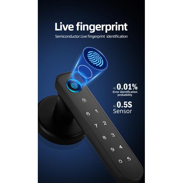 Emergency Power Smart Digital Lock Fingerprint Code Wifi Smart Lock