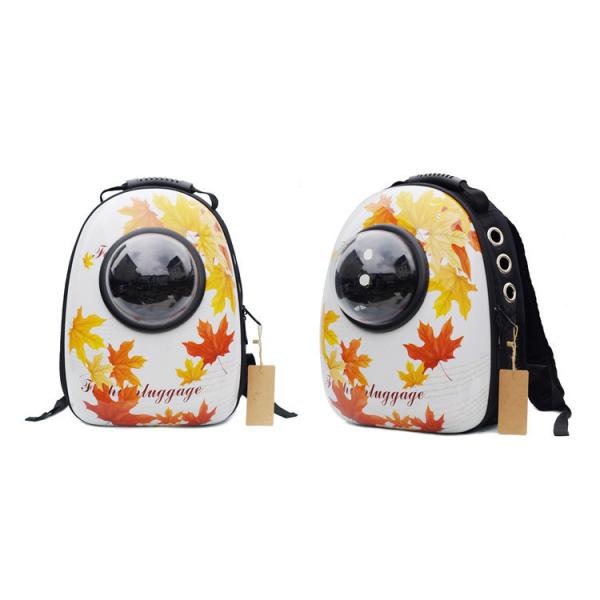 Cartoon Customized Plastic Pet Carrier Outdoor Space Dog Bags