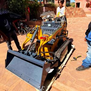 Quality Mini Skid Steer Loader Mini Crawler Wheel Skid Steer Loader With EPA/Gasoline Engine for sale