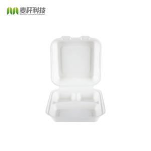 8 inches Biodegradable sugarcane bagasse 3 division disposable food packaging