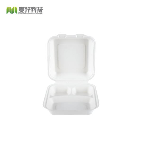 8 inches Biodegradable sugarcane bagasse 3 division disposable food packaging