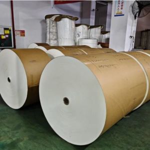 1-7 Colors Single Double PE Coated Brown Kraft Cup Paper Roll for Making Various Cups