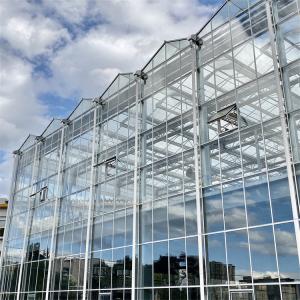 Venlo Automated Plant Hydroponic Tempered Glass Greenhouse Multi Span Agricultur