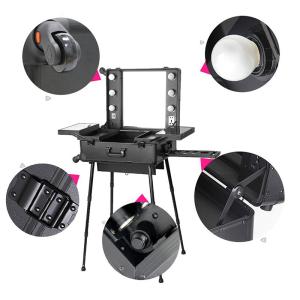 Professional Travel Makeup Case With Mirror And Lights OEM ODM Supported