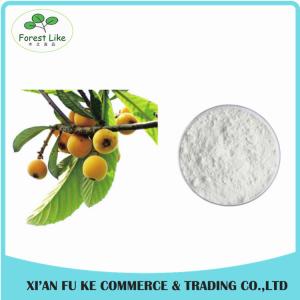 Free Sample Loquat Leaf Extract Ursolic Acid 90 %