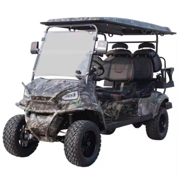 Rear Hub Motor 48V Lithium Battery Golf Cart with Audio System 6 Passenger Modern Style