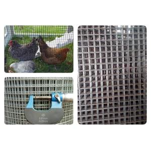 High Durability Galvanized Welded Mesh Rolls For Poultry Raising