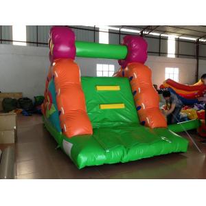 Small Size Inflatable Caterpillar Dry Slide With Digital Printing Eco - Friendly