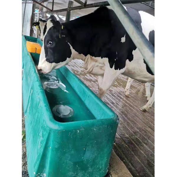 Cow Frost Proof Thermal 98KG Cattle Water Drinkers 560mm Heated Water Trough