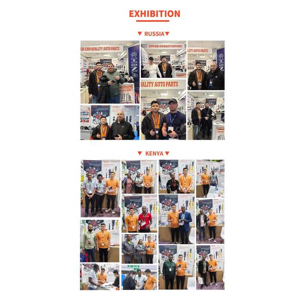 Front Suspension Strut Coilover Kit 48010-48073 48020-48073 Air Suspension Shock Absorber Suitable for Lexus RX450 2009-2015