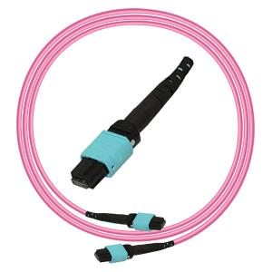 Fiber Trunk Cable 12F OM4 Violet MTP MPO Patch Cord Type B