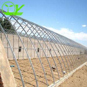 Budget-Friendly Agricultural Plastic Film Greenhouse for Vegetable Fruits