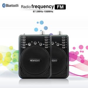 NEWGOOD Bluetooth Voice Amplifier Speaker with Wireless Headset Microphone FM