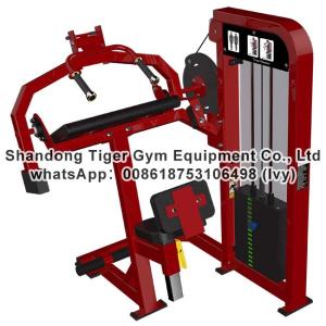 Gym Fitness Equipment Seated dip / Triceps extension exercise machine