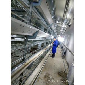 Silver Color Broiler Baby Chick Cage For Chicken Farm