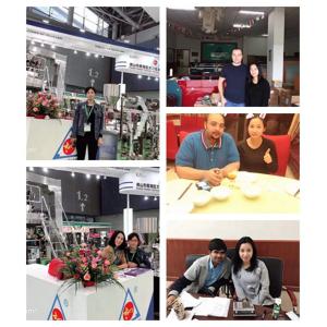 Automatic Chilli Powder Vertical Packing Machine