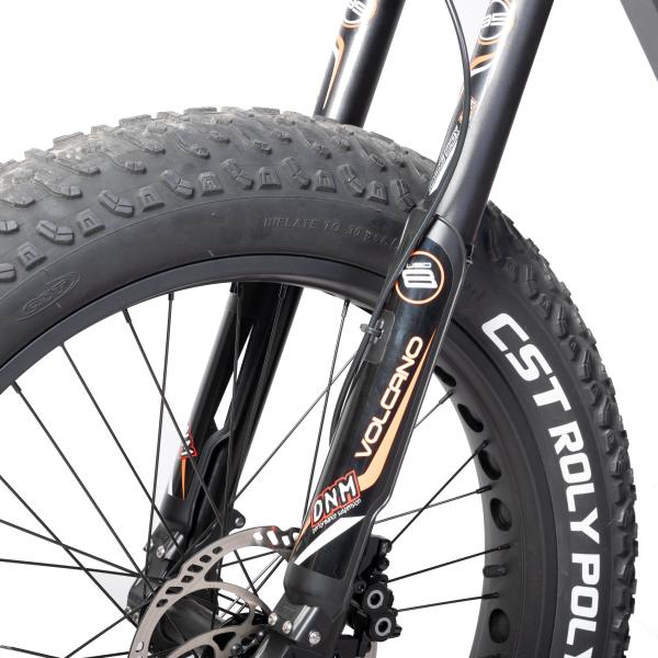 48V 20Ah Lithium Battery Color LCD Display Electric Mountain Bike Central Motor E Bike