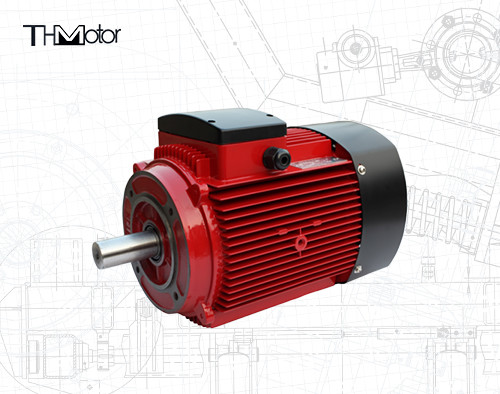 Buy NS SS Stainless Steel Special Application Motors 30HP 286TC at wholesale prices