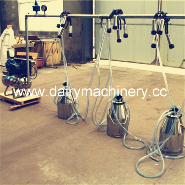 5 Milking Clusters Cow Milking Machine with 550L Vacuum Pump ISO CE FDA SGS