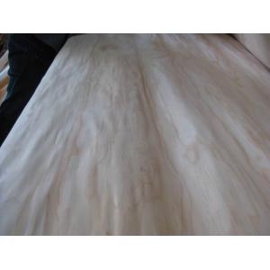 Rotary Cut/Peeled New Zealand Pine Wood Veneer Sheet