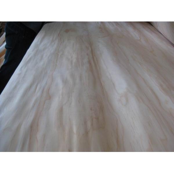 Buy Rotary Cut Radiata Pine Wood Veneer Sheet, Face/Back Grade at wholesale prices