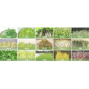 Gear Drive Harvester Machines for Harvesting Aquaponics Microgreens 2024