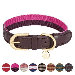 Polyester Webbing Leather Pet Collars Matched Leashes Available