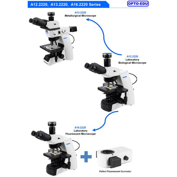 OPTO-EDU A12.2220 Infinity Trinocular Biological Laboratory Microscope