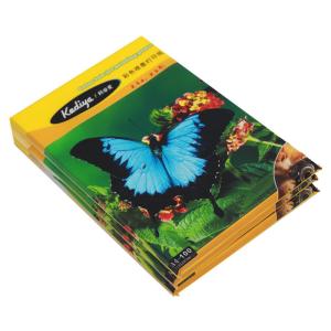 Double Sided Cast Coated Art Matte Inkjet Photo Paper