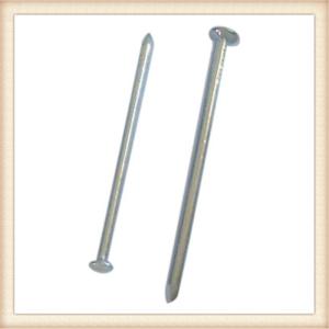 Quality common wire nails for sale