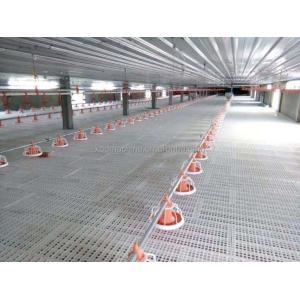 Ss304 Poultry Automatic Drinkers Automatic Chicken Watering System