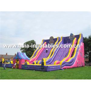 Quality Giant Inflatable Slide For Kids School Amusement Games for sale