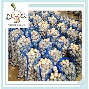 crazy selling creative fresh white garlic best selling wholesale pure white garlic